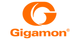 Technology Partner - gigamon - Ark One Solutions
